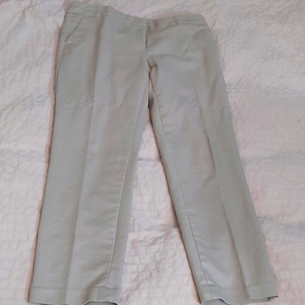 FOCUS Lifestyle Dress Pants/Sz 10/NWOT/High Waist/Minimalist/Tan/Office/Designer